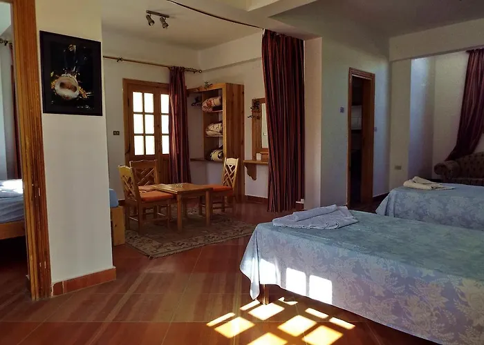 Hostel Star Of *