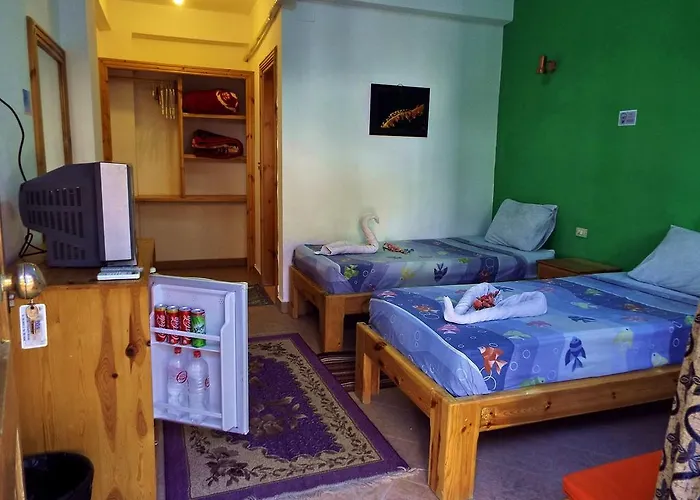 Hostel Star Of