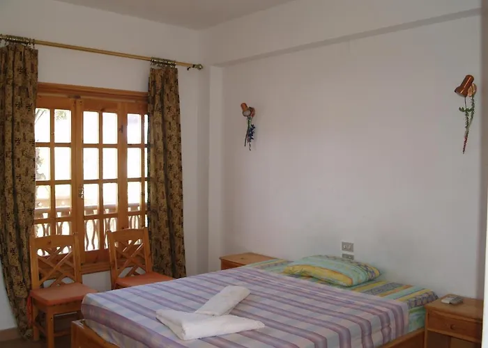 Hostel Star Of *