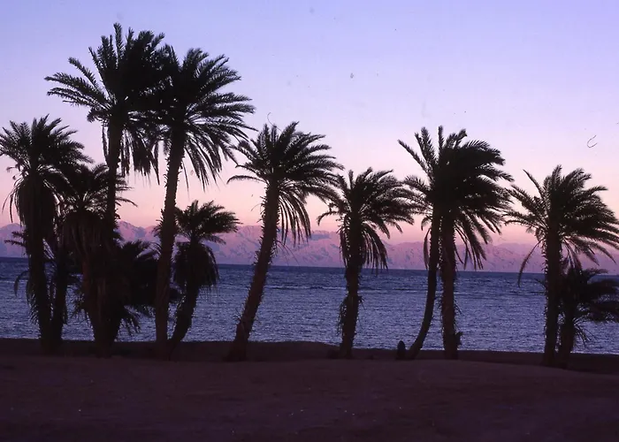 Star Of * Dahab